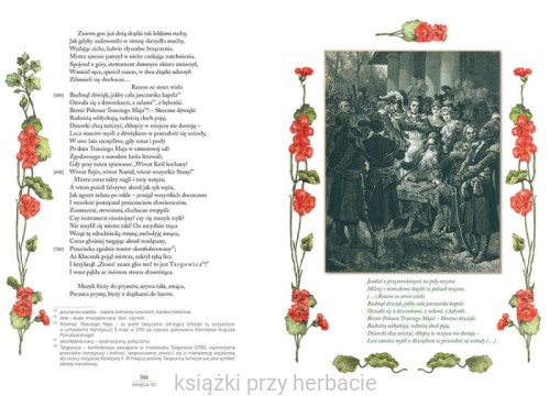 Pan Tadeusz_mickiewicz_ilustracje andriolli 2_ksiegarniaksiazkiprzyherbacie.png