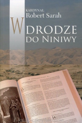 W drodze do Niniwy_sarah_ksiegarniaksiazkiprzyherbacie.jpg