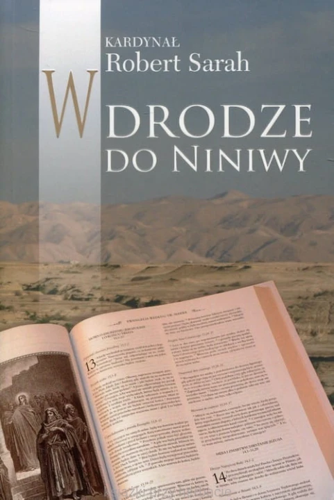 W drodze do Niniwy_sarah_ksiegarniaksiazkiprzyherbacie.jpg