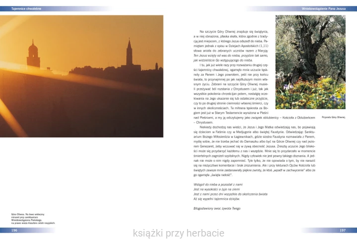 Tajemnice Ziemi świętej_bujak 8_ksiegarniaksiazkiprzyherbacie.jpg