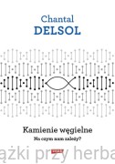Kamienie węgielne. Na czym nam zależy? - Chantal Delsol
