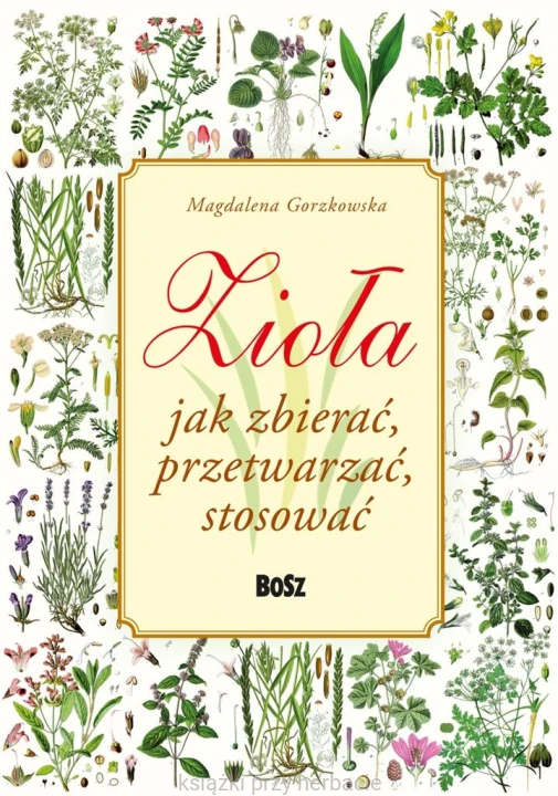 Zioła. Jak zbierać, przetwarzać, stosować_gorzkowska_ksiegarniaksiazkiprzyherbacie.jpg