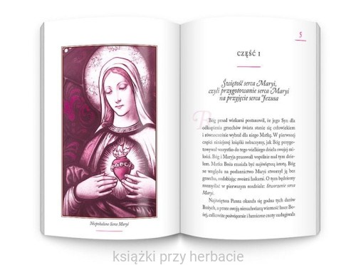 Miesiąc z Maryją. Nabożeństwo o wyproszenie łask według św. Alfonsa Liguoriego 2_ksiegarniaksiazkiprzyherbacie.jpg