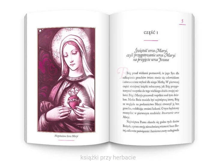 Miesiąc z Maryją. Nabożeństwo o wyproszenie łask według św. Alfonsa Liguoriego 2_ksiegarniaksiazkiprzyherbacie.jpg