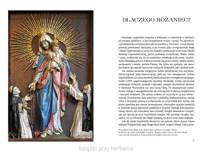 Drabina do nieba. Dzieje Różańca 3_ryszka_ksiegarniaksiazkiprzyherbacie.jpg