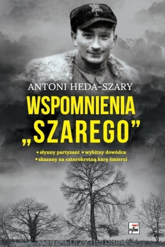 wspomnienia szarego.jpg