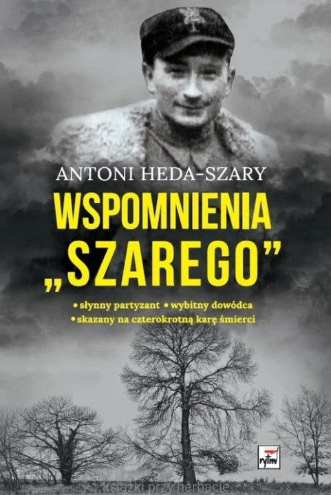 wspomnienia szarego.jpg