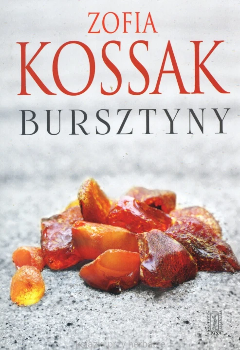 Bursztyny_zofia kossak_ksiegarniaksiazkiprzyherbacie.jpg