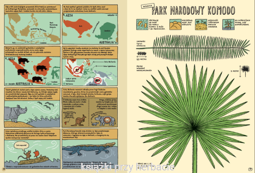 Którędy do Yellowstone Dzika podróż po parkach narodowych 2_mizielinska_ksiegarniaksiazkiprzyherbacie.jpg