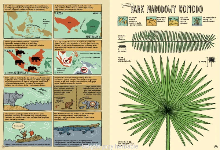 Którędy do Yellowstone Dzika podróż po parkach narodowych 2_mizielinska_ksiegarniaksiazkiprzyherbacie.jpg