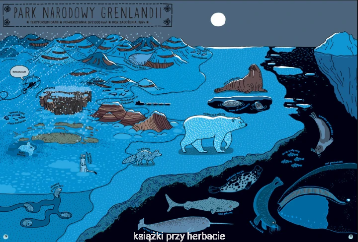 Którędy do Yellowstone Dzika podróż po parkach narodowych 3_mizielinska_ksiegarniaksiazkiprzyherbacie.jpg