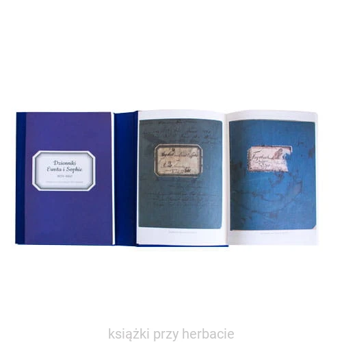 Poznańskie dzienniki_Posener Tagebucher 1859-1860 9_ksiegarniaksiazkiprzyherbacie.jpg