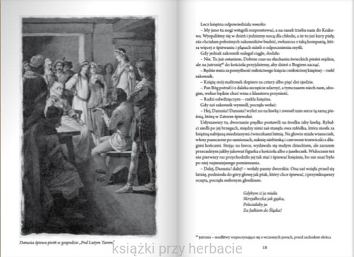 Krzyżacy ibis 2.jpg