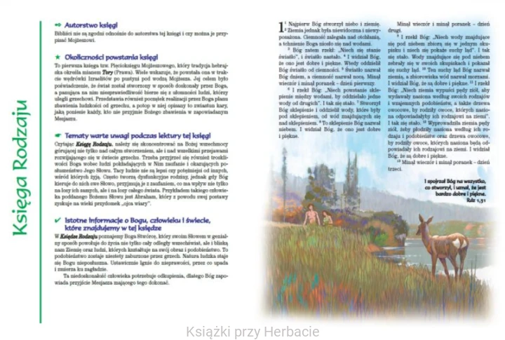 ilustrowana biblia pierwszego kościoła.png