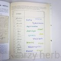 Genealogia dla najmłodszych, czyli wyjątkowa podróż w czasie 2_ksiegarniaksiazkiprzyherbacie.jpg