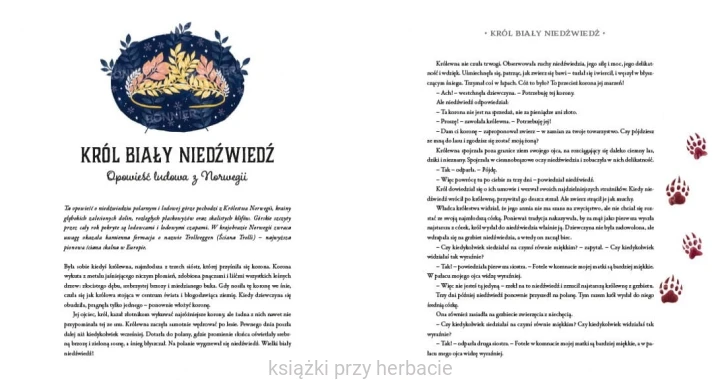 Baśnie zimowe 2_casey_ksiegarniaksiazkiprzyherbacie.jpg