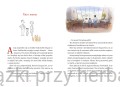 Szczęście Mikołajka 2_goscinny_ksiegarniaksiazkiprzyherbacie.jpg
