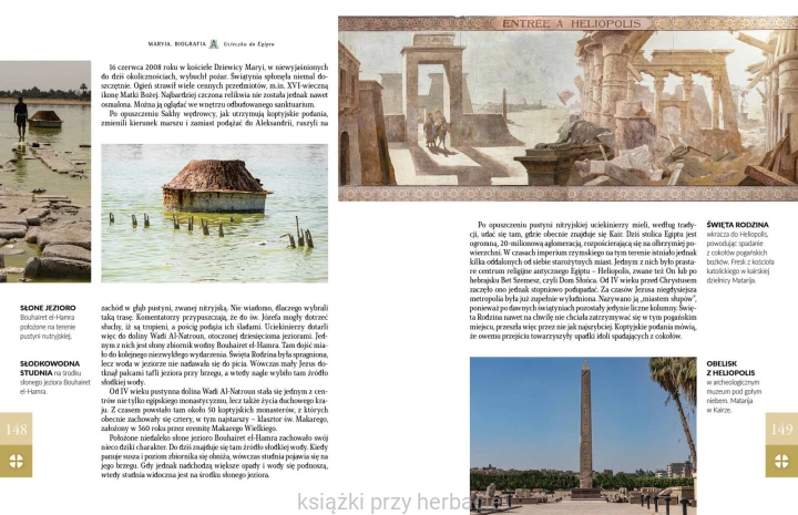 Maryja. Biografia 11_grzegorz górny_ksiegarniaksiazkiprzyherbacie.jpg