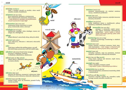 Ilustrowany słownik ortograficzny 2_ksiegarniaksiazkiprzyherbacie.jpg
