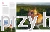 Zamki, dwory i pałace 4_gospodarek_ksiegarniaksiazkiprzyherbacie.jpg
