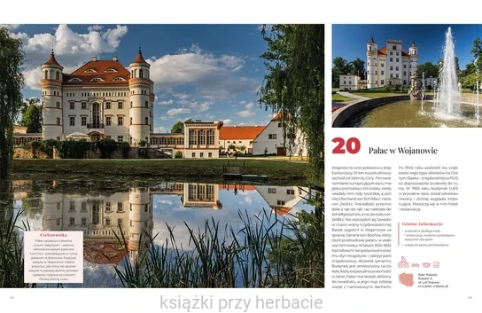 Zamki, dwory i pałace 6_gospodarek_ksiegarniaksiazkiprzyherbacie.jpg