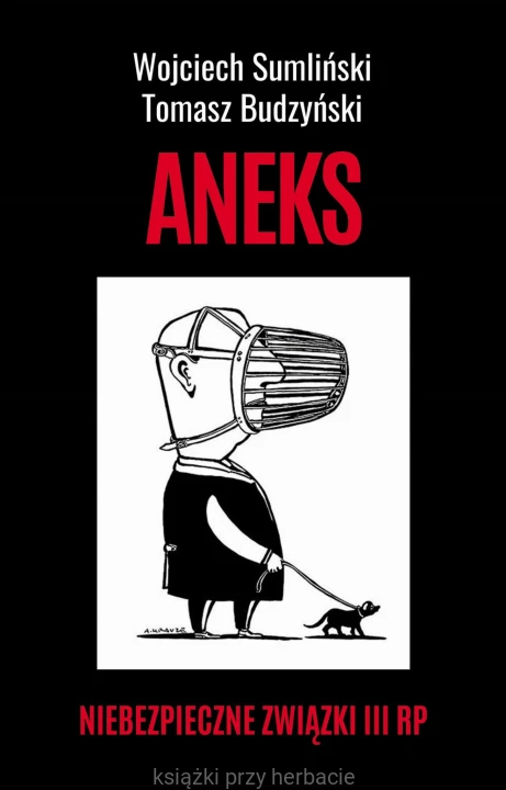 Aneks. Niebezpieczne związki III RP_sumliński_budzynski_ksiegarniaksiazkiprzyherbacie.jpg