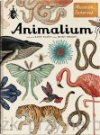 Animalium. Muzeum Zwierząt - Jenny Broom, Katie Scott