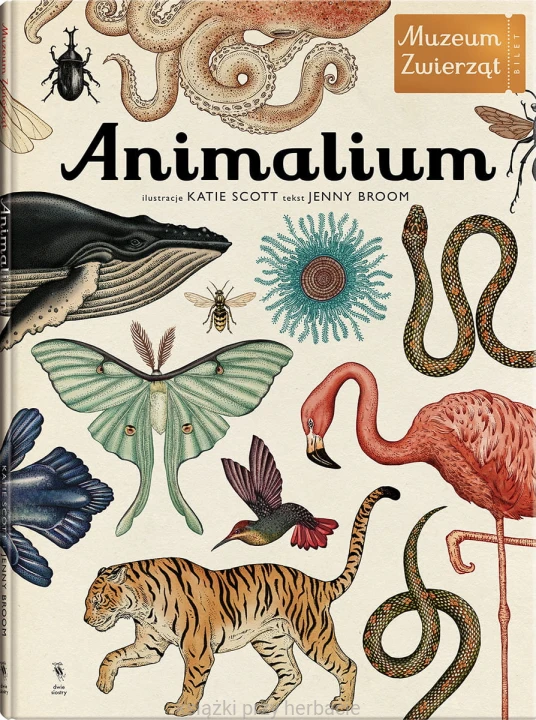 Animalium. Muzeum Zwierząt 1_ksiegarniaksiazkiprzyherbacie.jpg