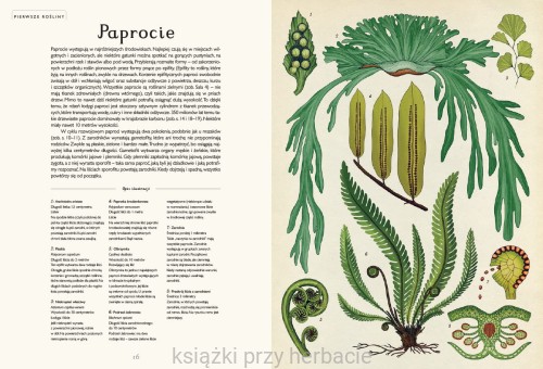 Botanicum 2_ksiegarniaksiazkiprzyherbacie.jpg