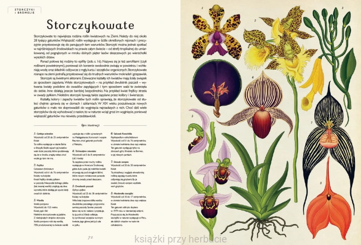 Botanicum 3_ksiegarniaksiazkiprzyherbacie.jpg