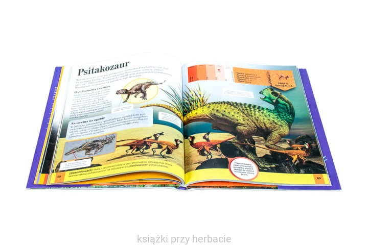Dinozaury 5_ksiegarniaksiazkiprzyherbacie.jpg