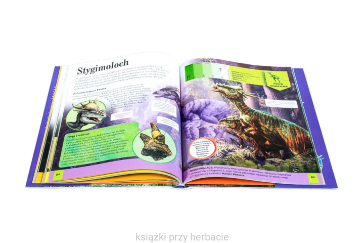Dinozaury 6_ksiegarniaksiazkiprzyherbacie.jpg