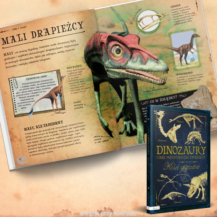 Dinozaury i inne prehistoryczne zwierzęta. Kości gigantów 2_ksiegarniaksiazkiprzyherbacie.jpg