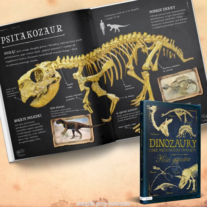 Dinozaury i inne prehistoryczne zwierzęta. Kości gigantów 3_ksiegarniaksiazkiprzyherbacie.jpg