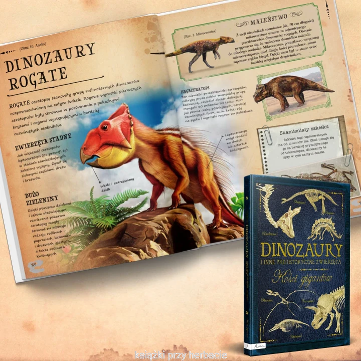 Dinozaury i inne prehistoryczne zwierzęta. Kości gigantów 4_ksiegarniaksiazkiprzyherbacie.jpg