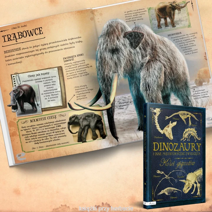 Dinozaury i inne prehistoryczne zwierzęta. Kości gigantów 5_ksiegarniaksiazkiprzyherbacie.jpg