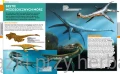 Encyklopedia dinozaurów_paweł zalewski 2_ksiegarniaksiazkiprzyherbacie.jpg