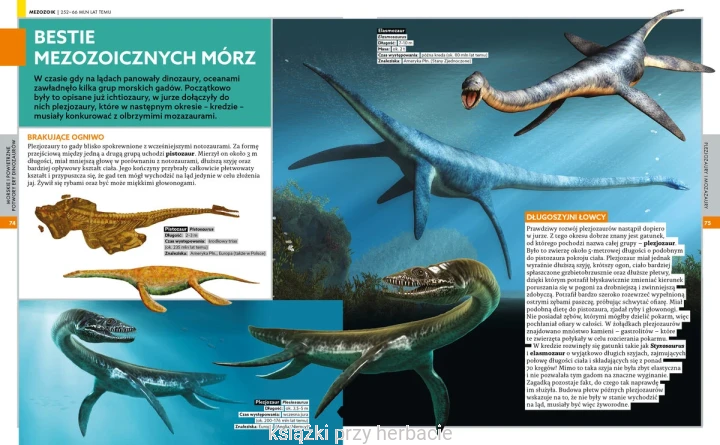 Encyklopedia dinozaurów_paweł zalewski 2_ksiegarniaksiazkiprzyherbacie.jpg
