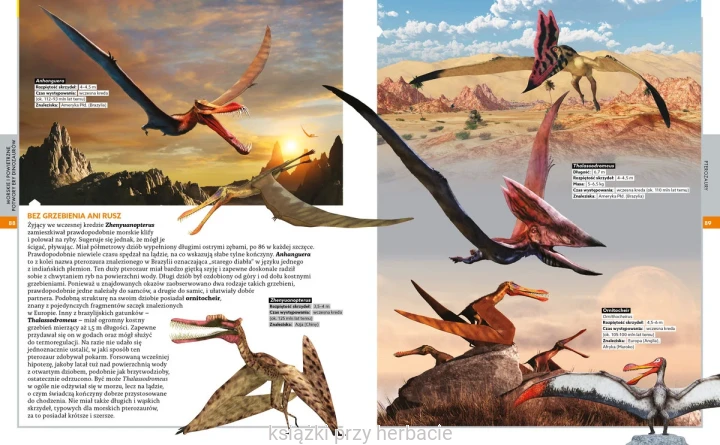 Encyklopedia dinozaurów_paweł zalewski 3_ksiegarniaksiazkiprzyherbacie.jpg