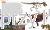 Encyklopedia dinozaurów_paweł zalewski 5_ksiegarniaksiazkiprzyherbacie.jpg