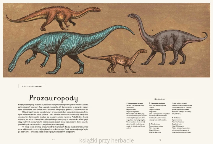 Dinozaurium wyd. 2022 2_ksiegarniaksiazkiprzyherbacie.jpg