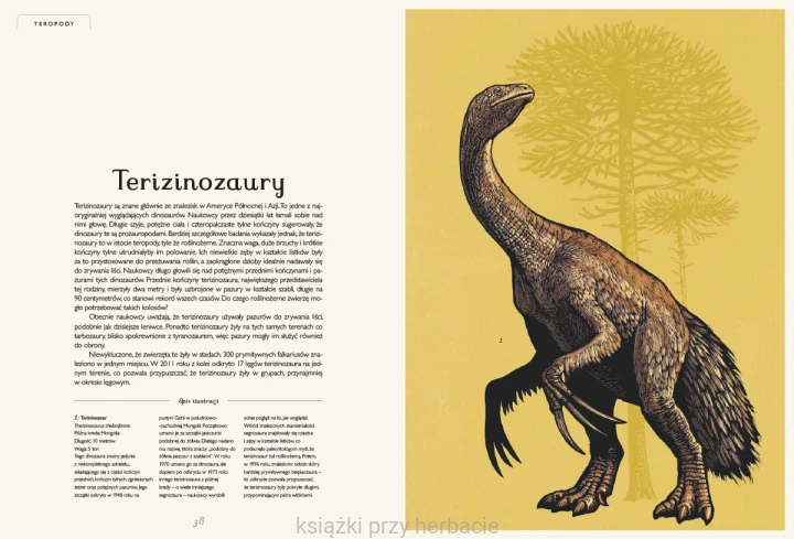 Dinozaurium wyd. 2022 3_ksiegarniaksiazkiprzyherbacie.jpg