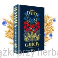 Galicja 2_norman davies_ksiegarniaksiazkiprzyherbacie.jpg