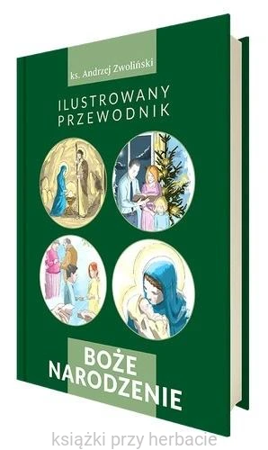Boże Narodzenie. Ilustrowany przewodnik_zwoliński_ksiegarniaksiazkiprzyherbacie.jpg