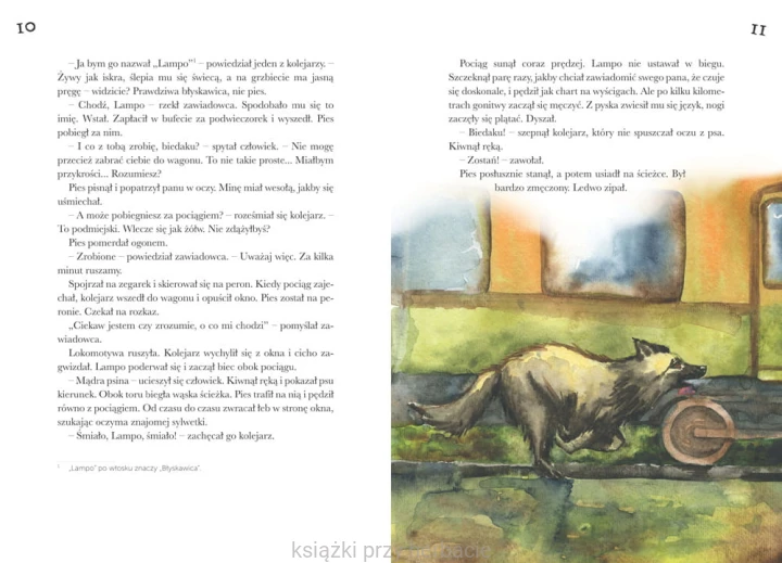 O psie, który jeździł koleją 3_ksiegarniaksiazkiprzyherbacie.jpg