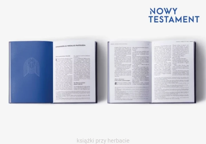 Nowy Testament z infografikami - format A5, wersja srebrna 2_ksiegarniaksiazkiprzyherbacie.jpg