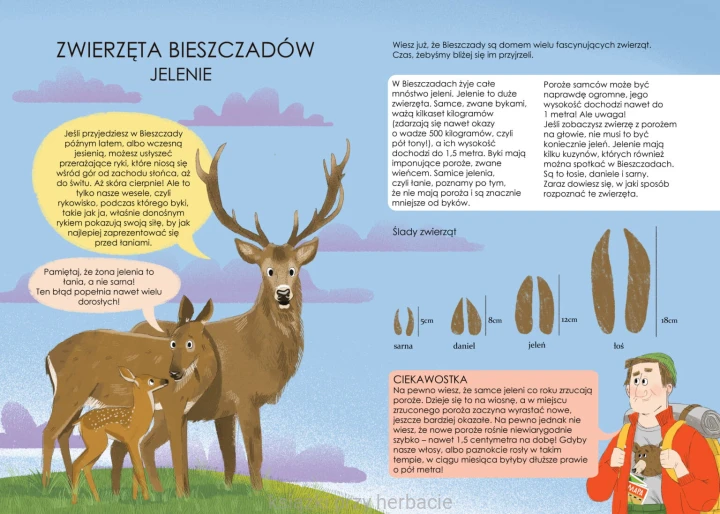 Bieszczady. Przewodnik dla małych i dużych odkrywców 3_markowski_ksiegarniaksiazkiprzyherbacie.jpg