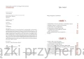 Naród niepokonany. Przełomowe momenty polskiej historii 2_andrzej nowak_ksiegarniaksiazkiprzyherbacie.jpg