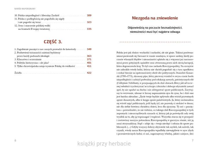 Naród niepokonany. Przełomowe momenty polskiej historii 3_andrzej nowak_ksiegarniaksiazkiprzyherbacie.jpg