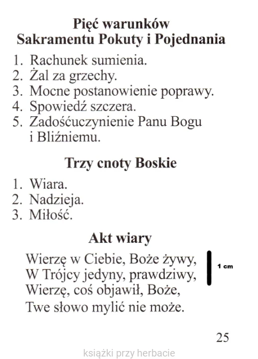 Modlitewnik - Panie, naucz nas modlić się_2_ksiegarniaksiazkiprzyherbacie.jpg